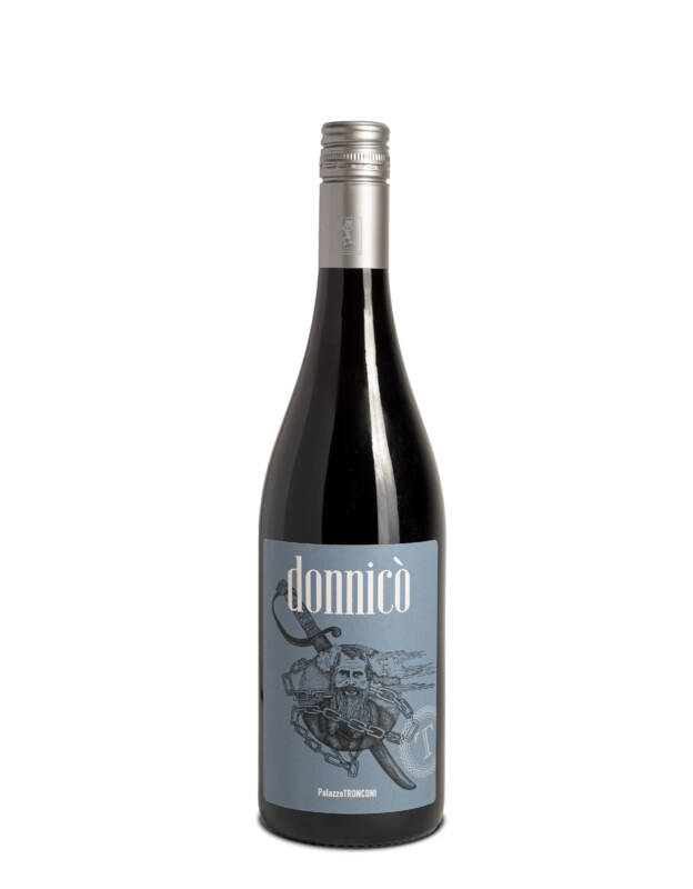 PalazzoTronconi-donnico-8