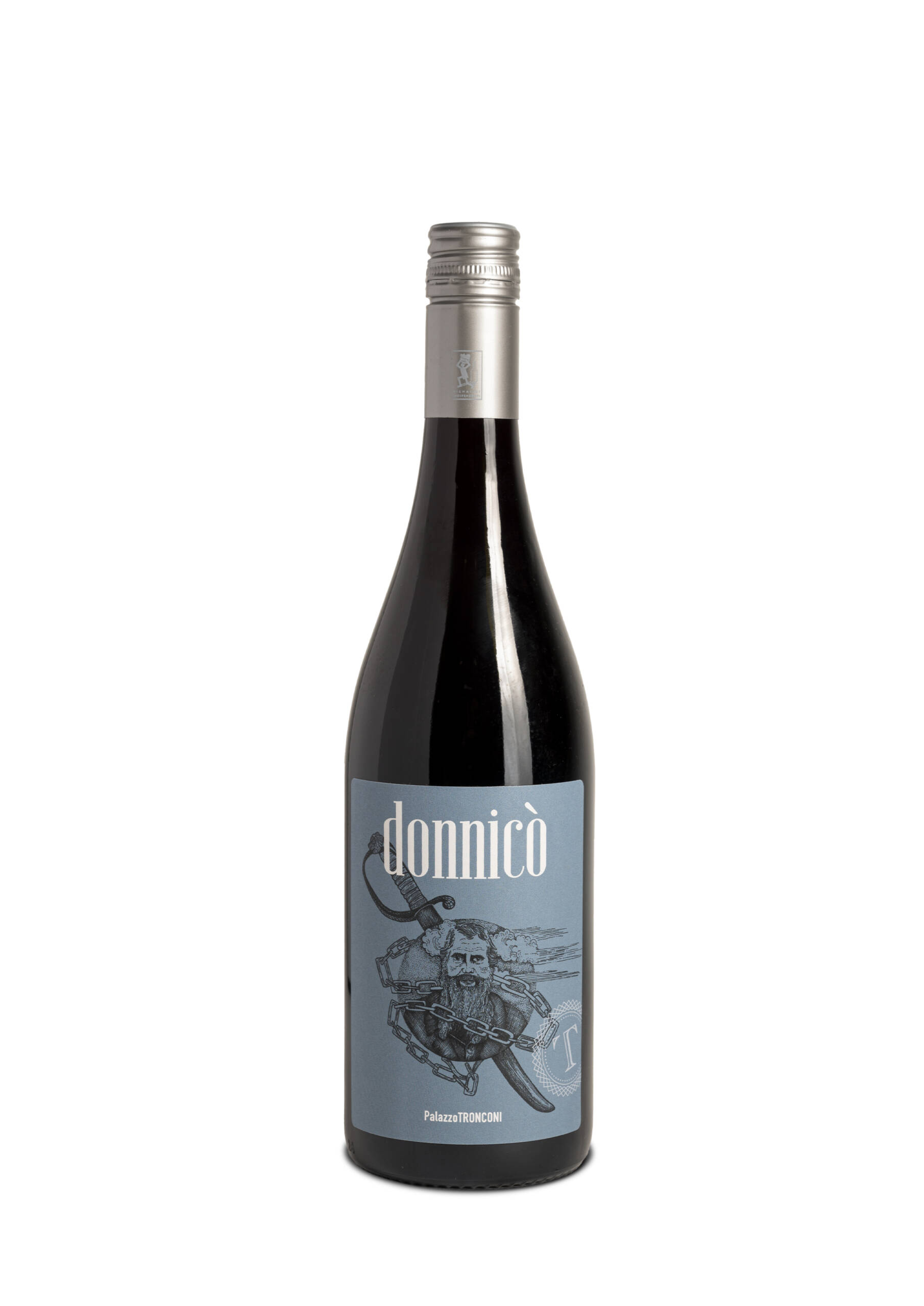 PalazzoTronconi-donnico-8