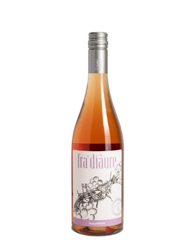 PalazzoTronconi-fra-diaure-5