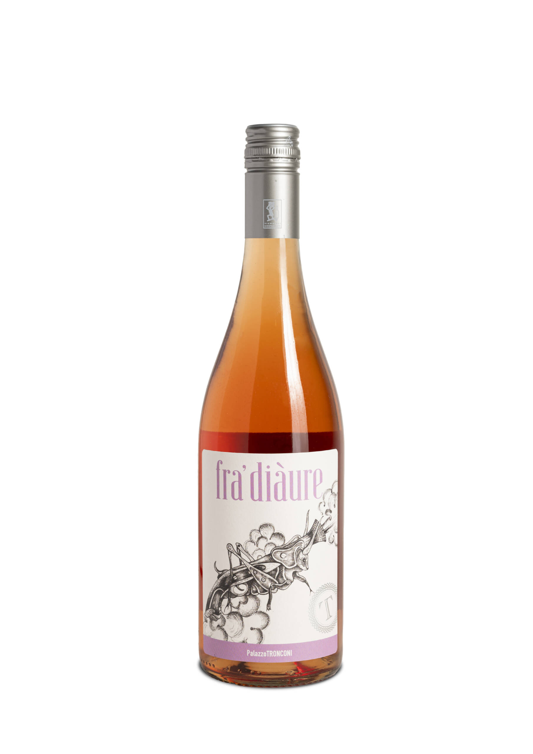 PalazzoTronconi-fra-diaure-5