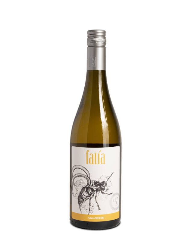 PalazzoTronconi-fatia