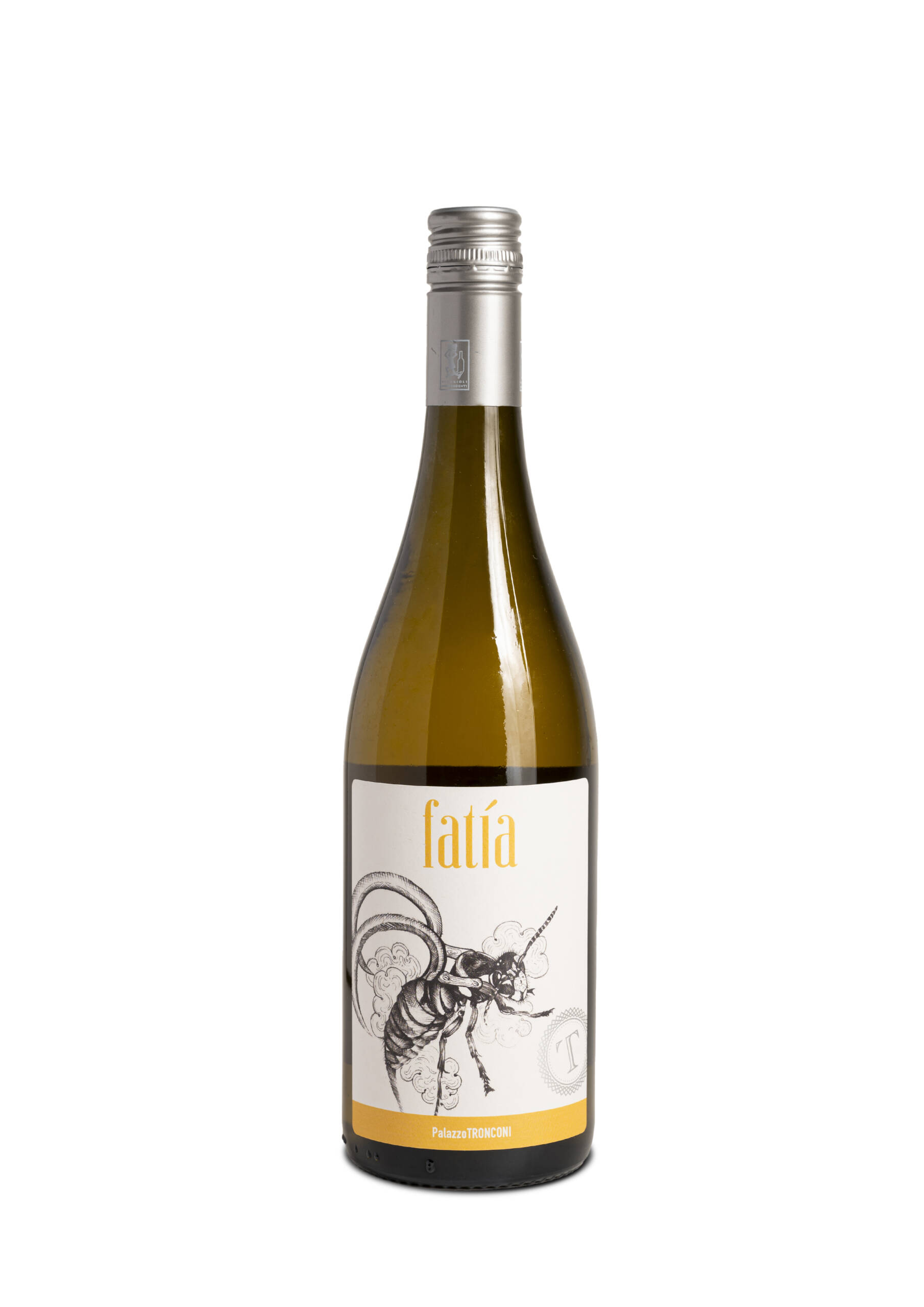 PalazzoTronconi-fatia