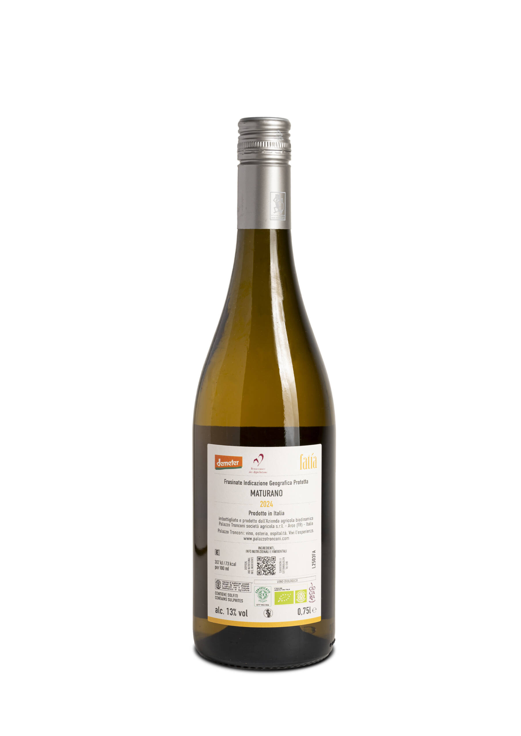 PalazzoTronconi-fatia-retro-4a