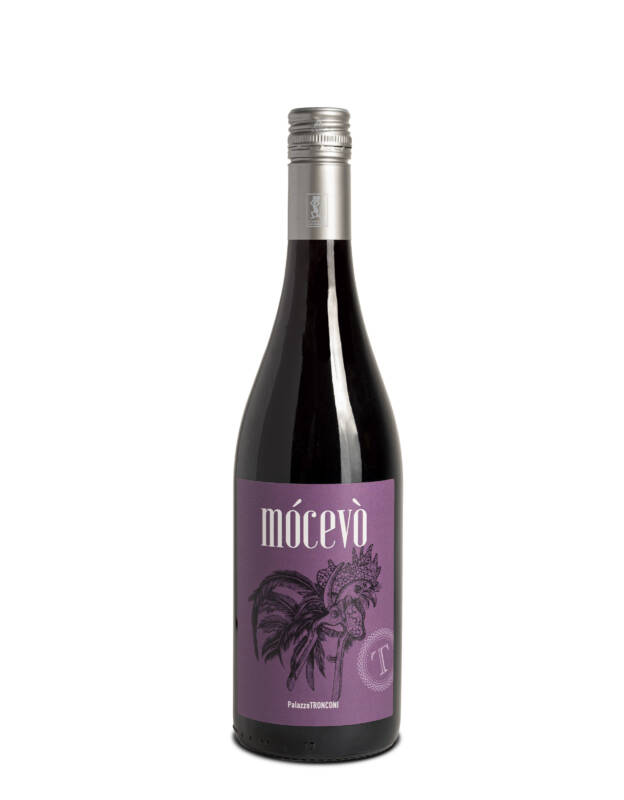 PalazzoTronconi-mocevo-7