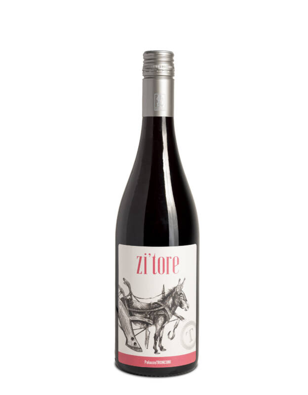 PalazzoTronconi-zitore-6