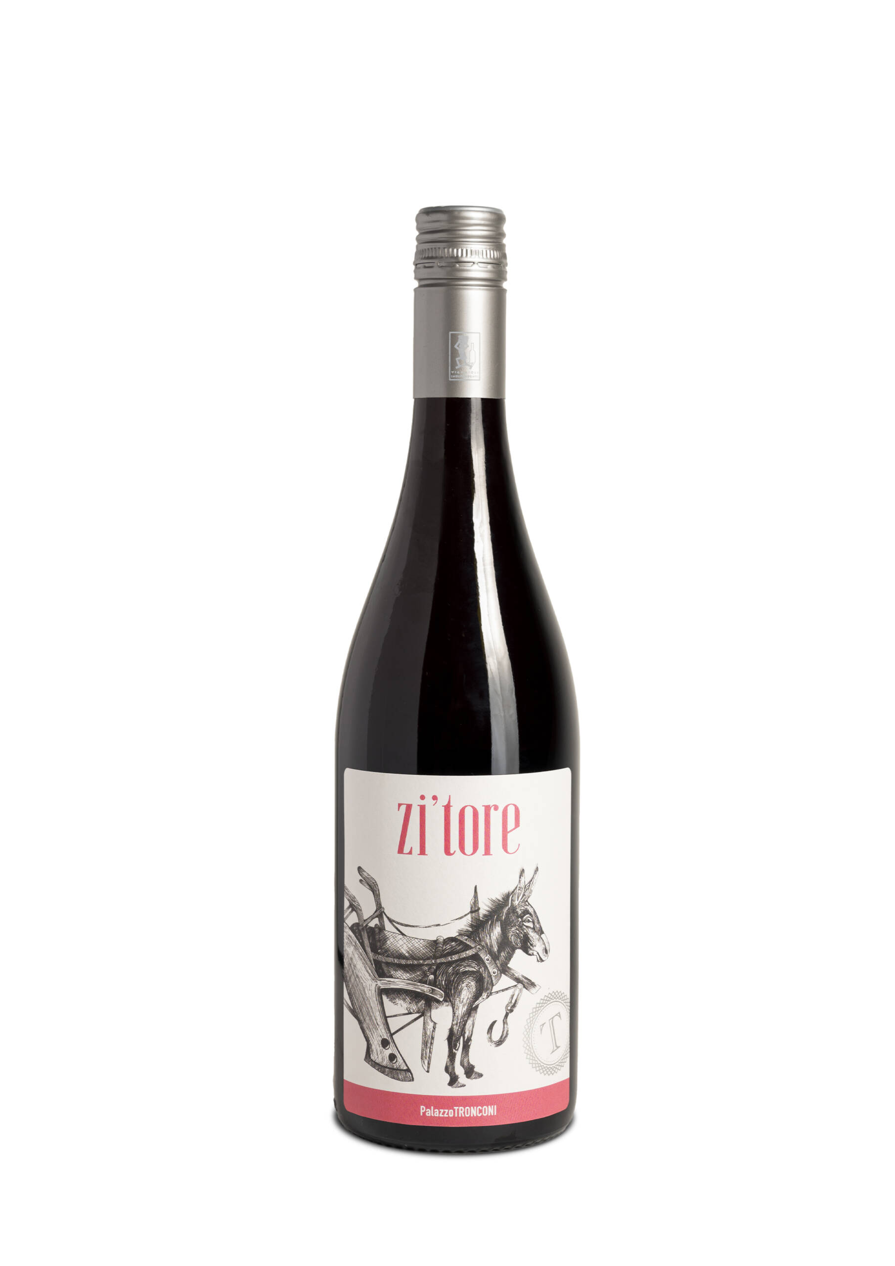 PalazzoTronconi-zitore-6