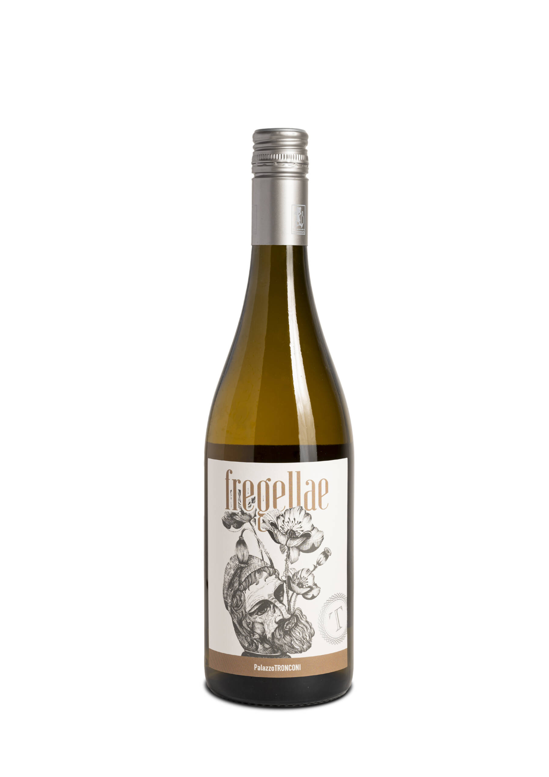 PalazzoTronconi-2-fregellae